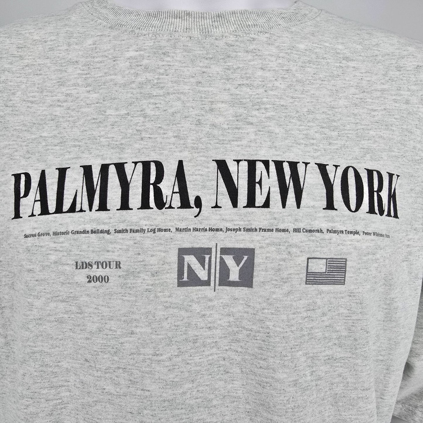 Vintage Y2K Palmyra, New York LDS Tour 2000 Latter-Day Saints Gray T-Shirt (XXL)