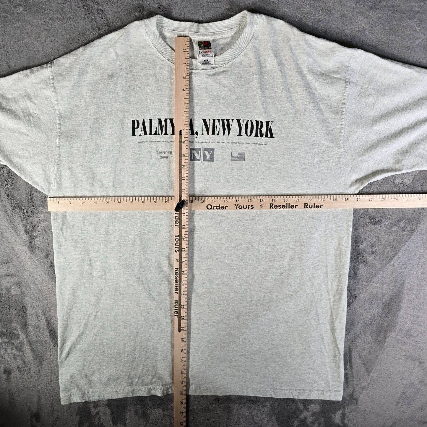 Vintage Y2K Palmyra, New York LDS Tour 2000 Latter-Day Saints Gray T-Shirt (XXL)