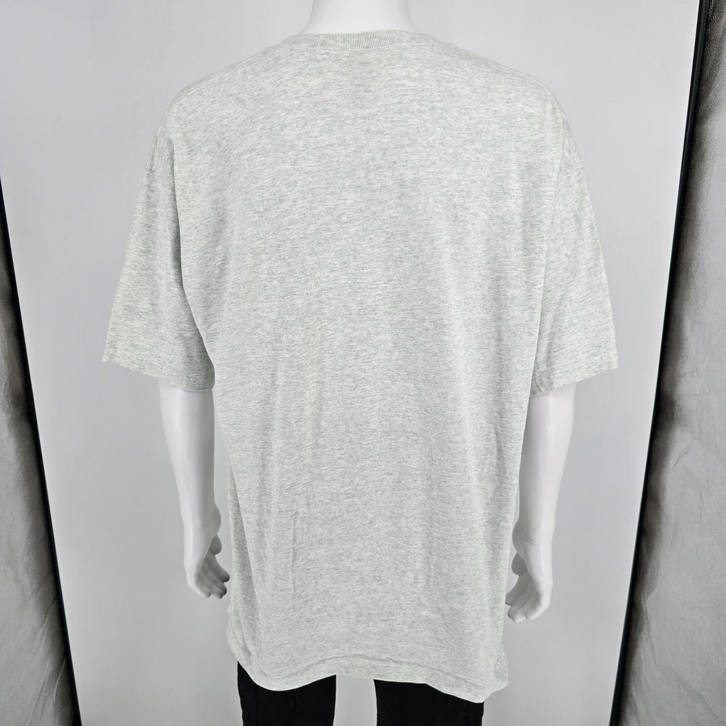 Vintage Y2K Palmyra, New York LDS Tour 2000 Latter-Day Saints Gray T-Shirt (XXL)