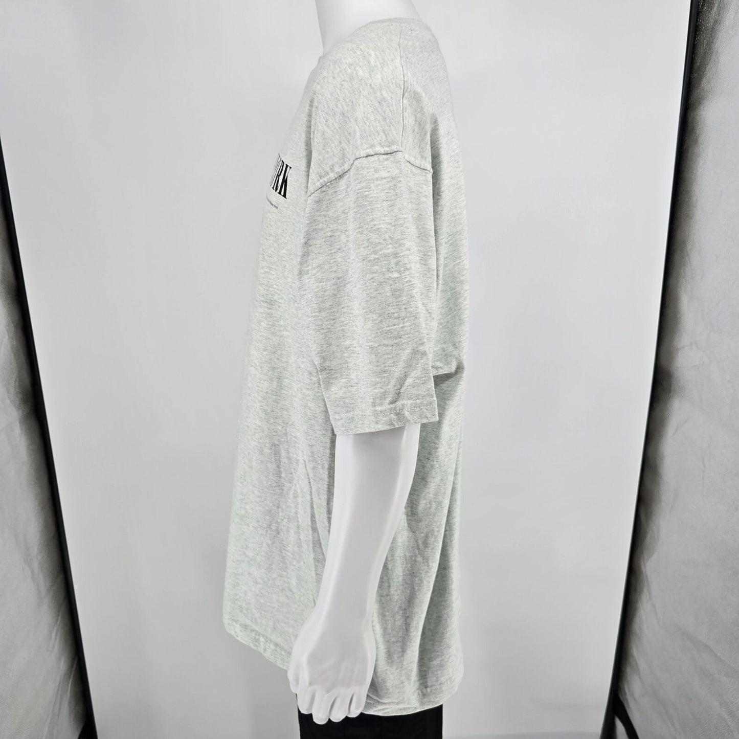 Vintage Y2K Palmyra, New York LDS Tour 2000 Latter-Day Saints Gray T-Shirt (XXL)