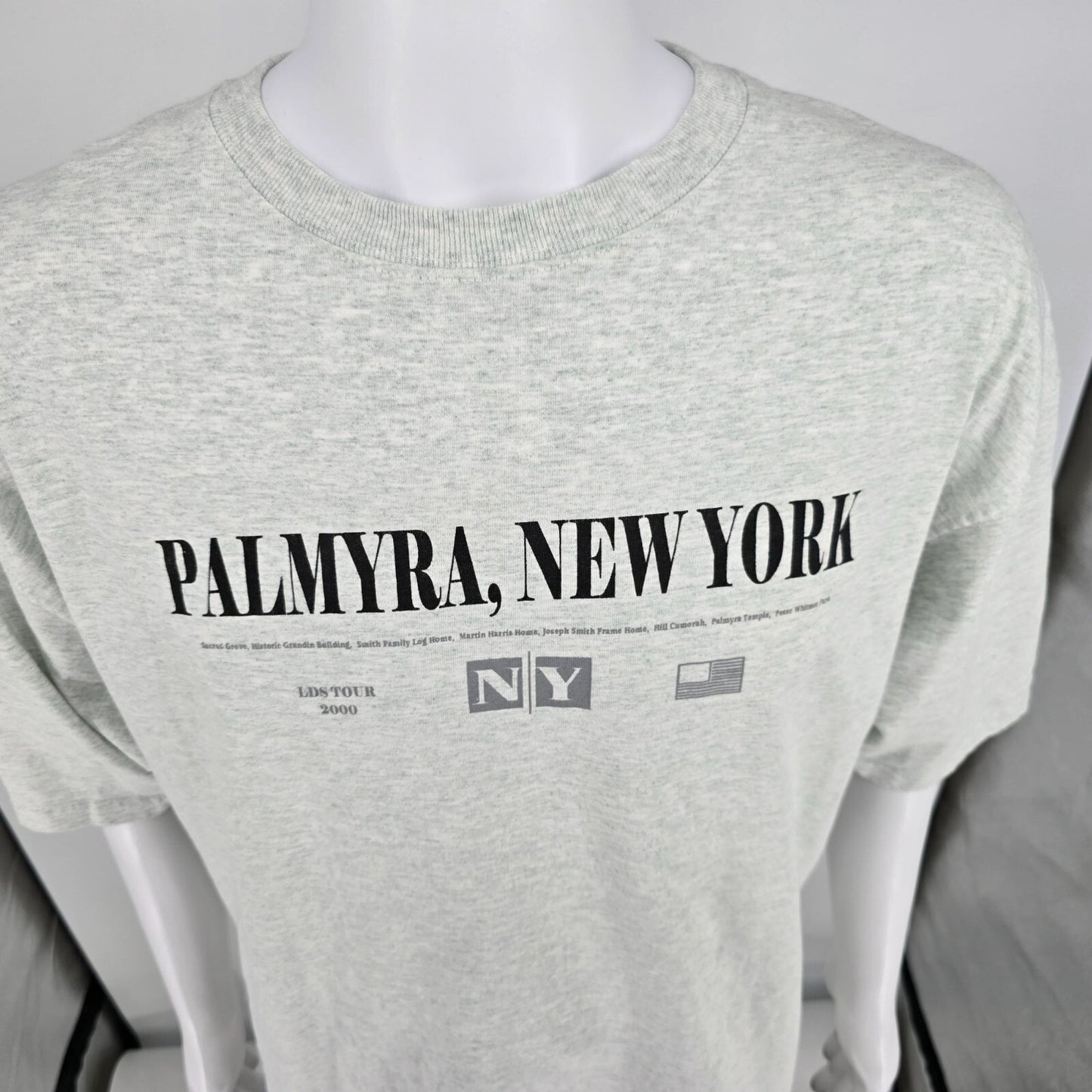 Vintage Y2K Palmyra, New York LDS Tour 2000 Latter-Day Saints Gray T-Shirt (XXL)