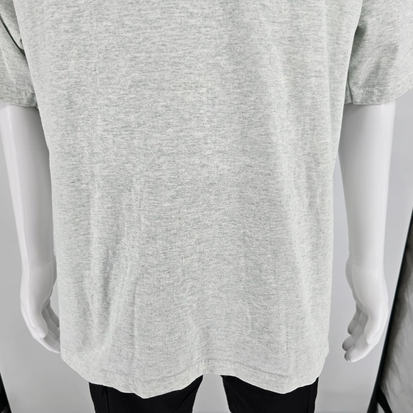 Vintage Y2K Palmyra, New York LDS Tour 2000 Latter-Day Saints Gray T-Shirt (XXL)