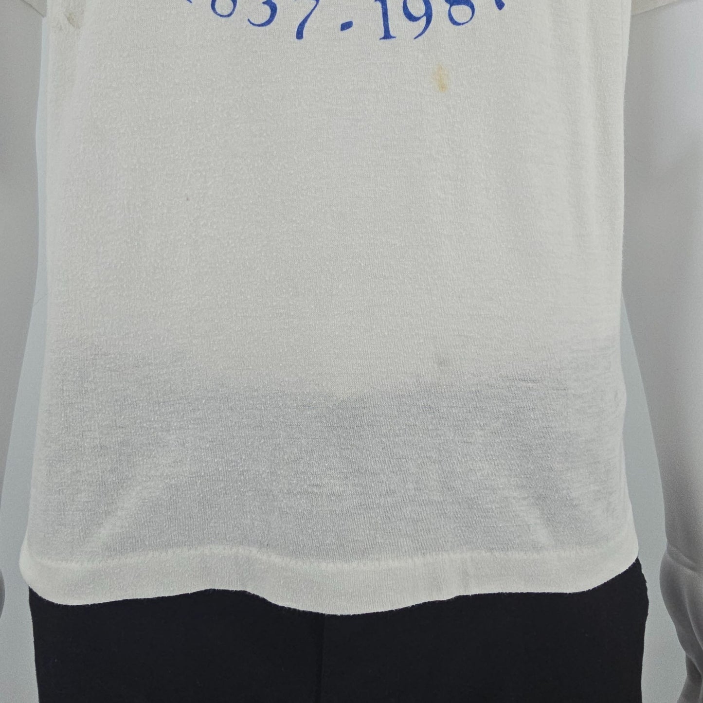 Distressed Vintage 1987 D.G. Sportswear Michigan Sesquicentennial T-Shirt (M)