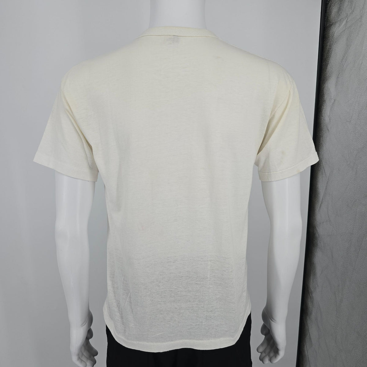 Distressed Vintage 1987 D.G. Sportswear Michigan Sesquicentennial T-Shirt (M)