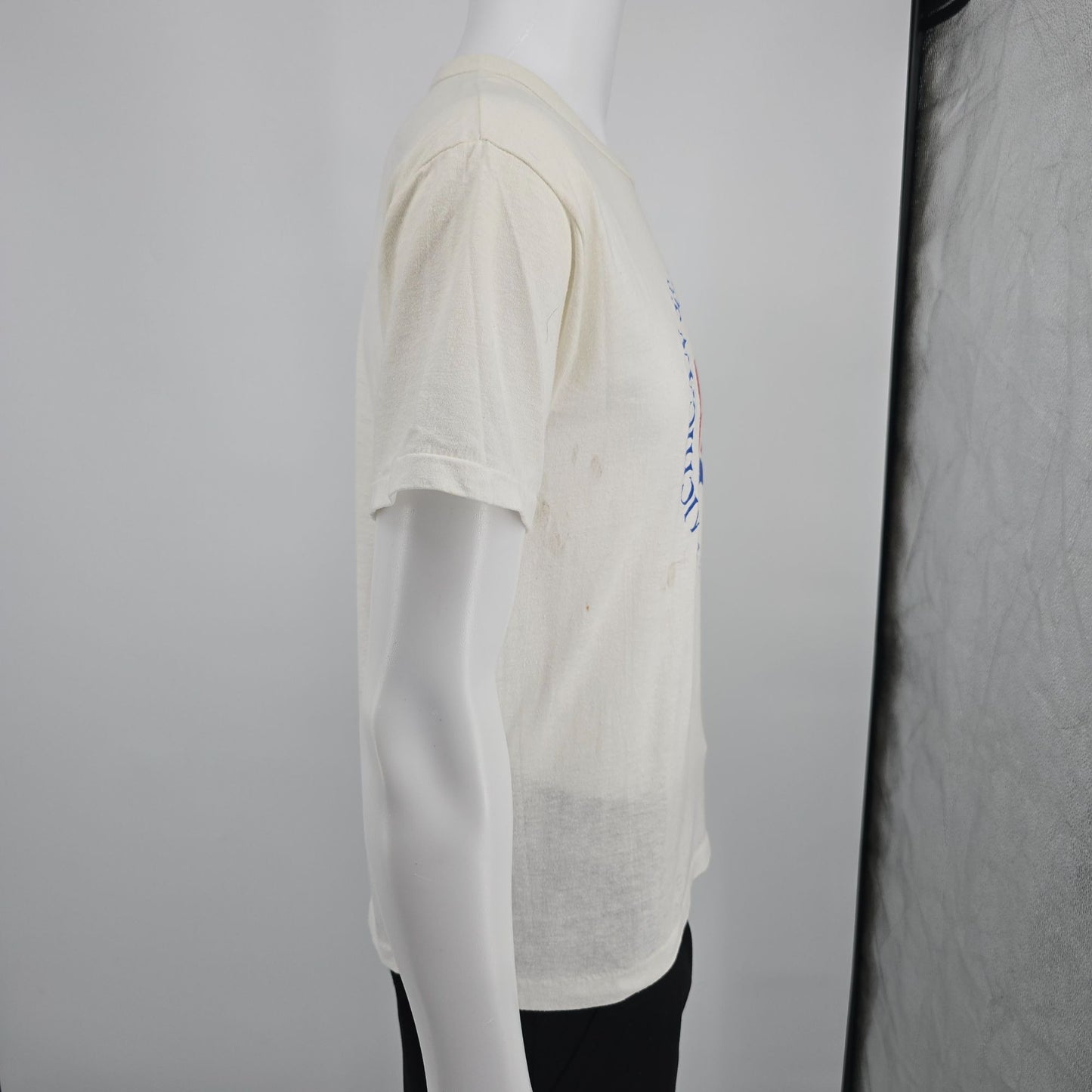 Distressed Vintage 1987 D.G. Sportswear Michigan Sesquicentennial T-Shirt (M)