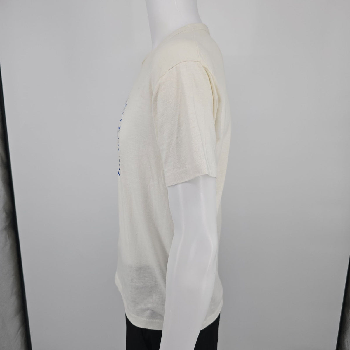 Distressed Vintage 1987 D.G. Sportswear Michigan Sesquicentennial T-Shirt (M)