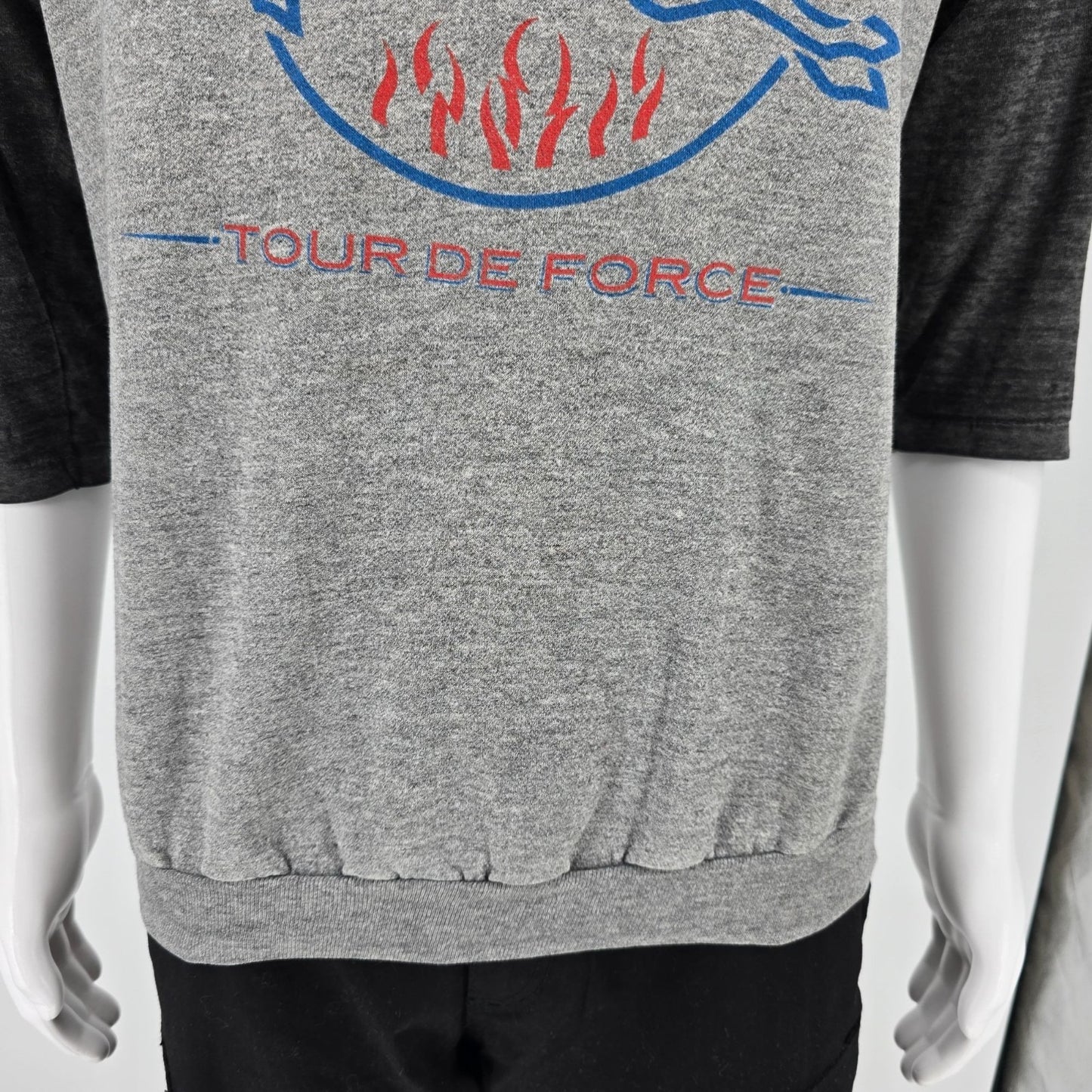 Vintage 1980s 38 Special Tour De Force 1984 Raglan Sleeve Band Sweatshirt (L)