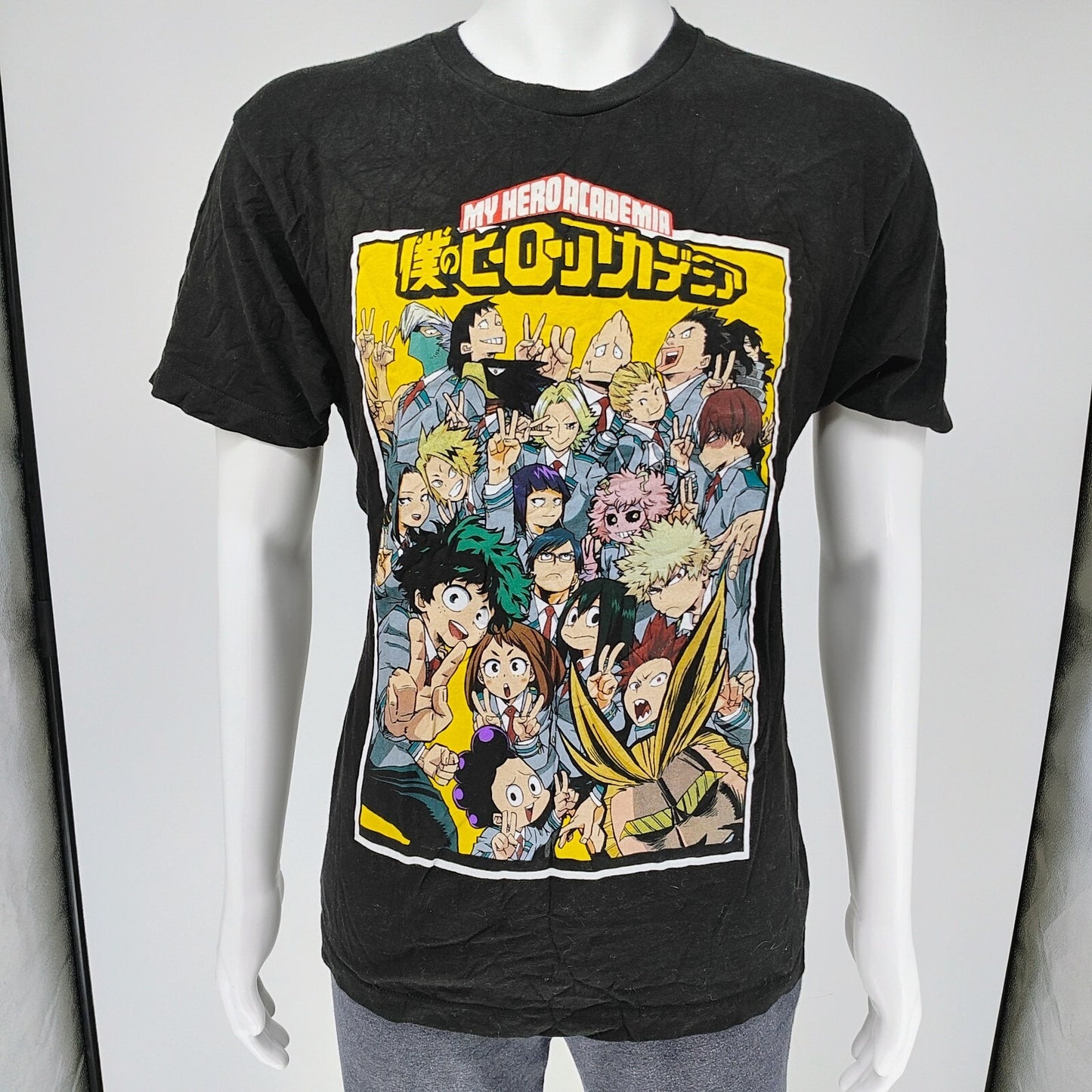 My Hero Academia Classroom Graphic Anime T-Shirt (Large)