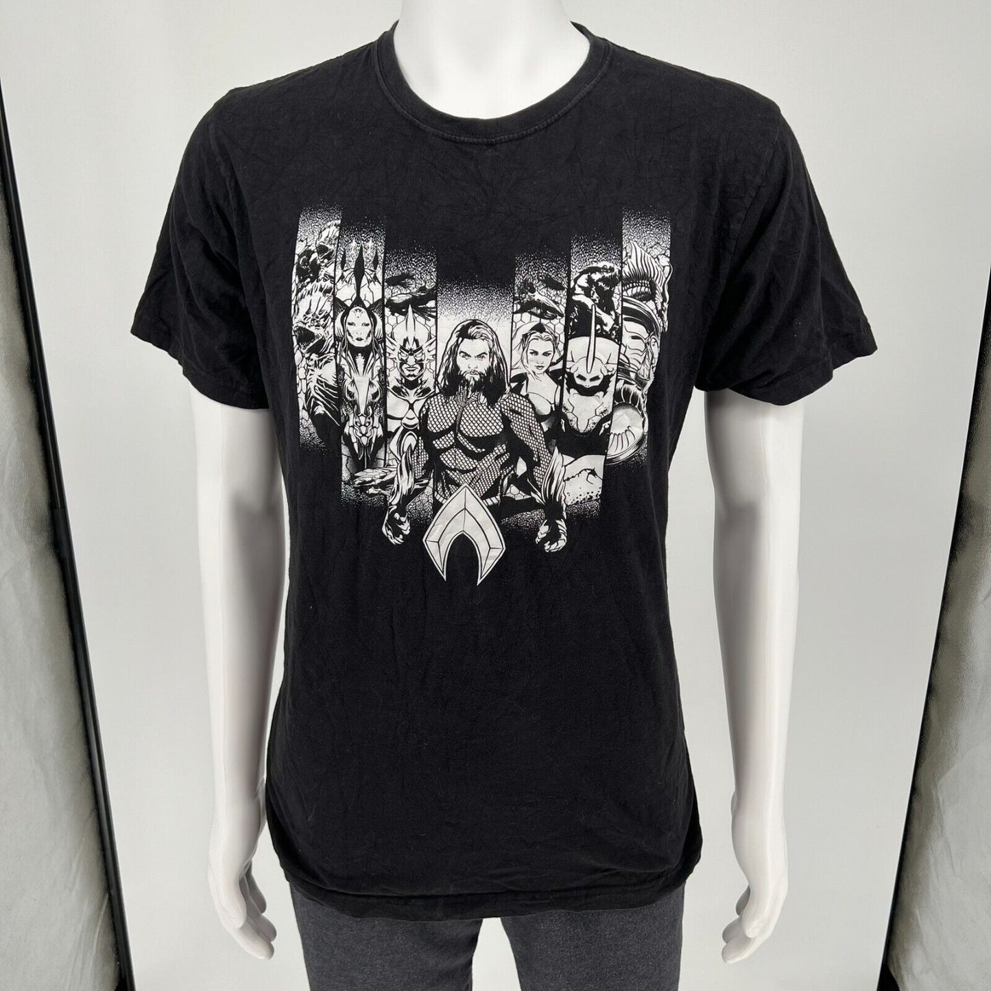 DC Comics Character Bars Aquaman Front & Center Black and White T-Shirt (Large)