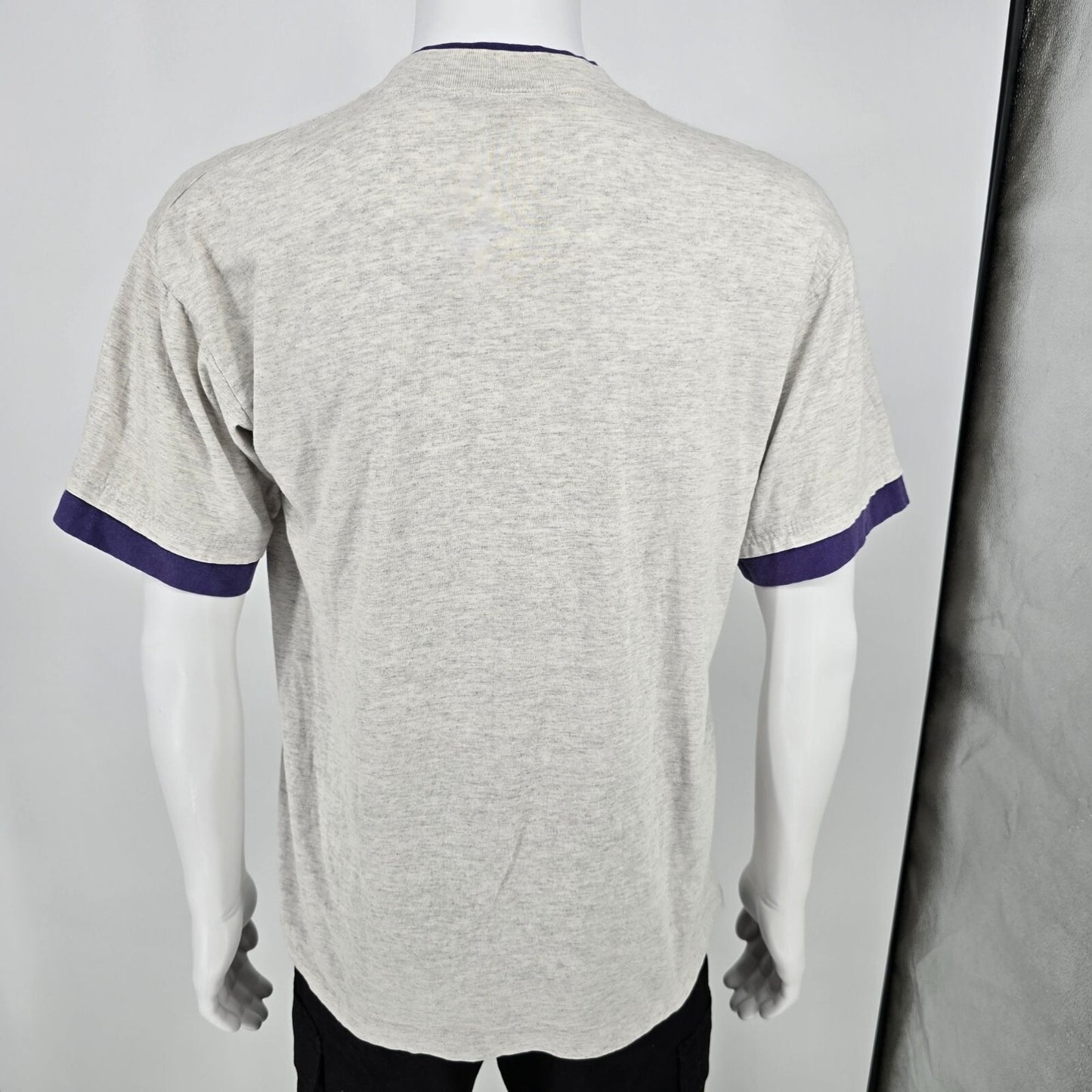 Distressed Vintage 1990s Pansy Flower Window Garden Ringer Tee T-Shirt (L)