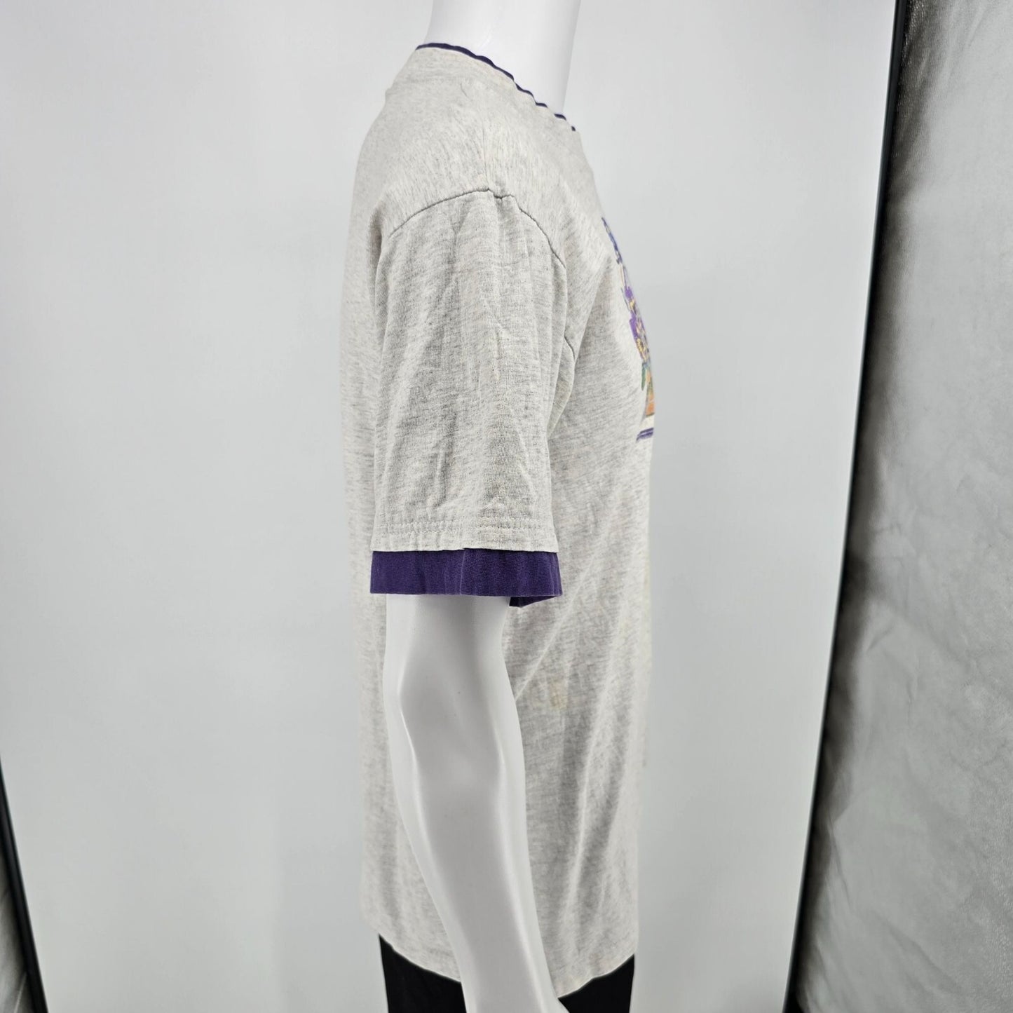 Distressed Vintage 1990s Pansy Flower Window Garden Ringer Tee T-Shirt (L)
