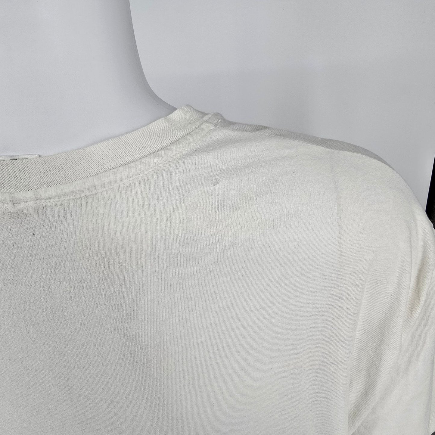 Distressed Vintage 1990s Hanes Blank Single Stitch Cotton T-Shirt (L/XL Long)