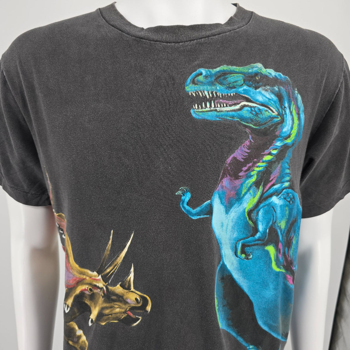 Vintage 1990s Harlequin Nature Graphics Dinosaur Wraparound Graphic T-Shirt (L)