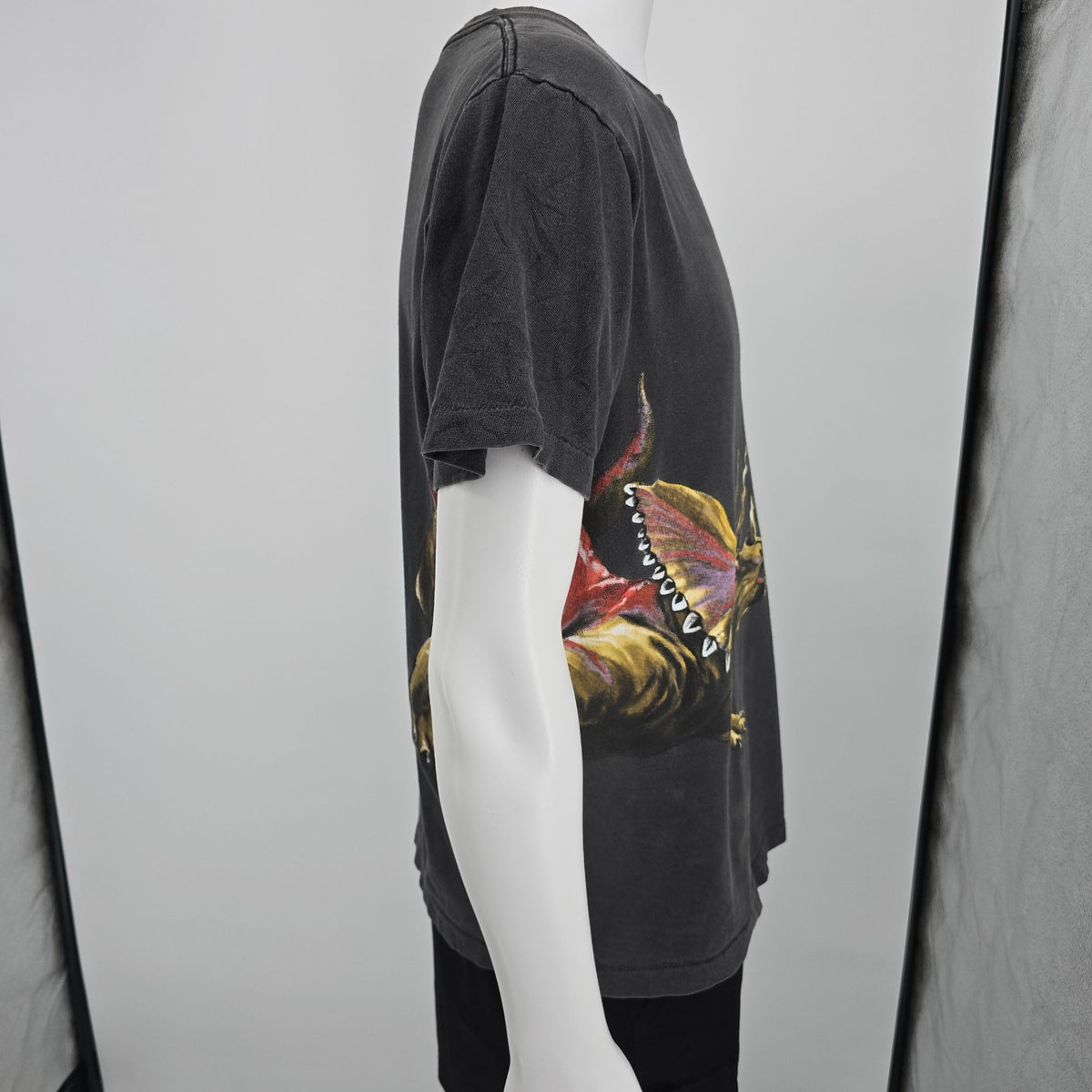 Vintage 1990s Harlequin Nature Graphics Dinosaur Wraparound Graphic T-Shirt (L)