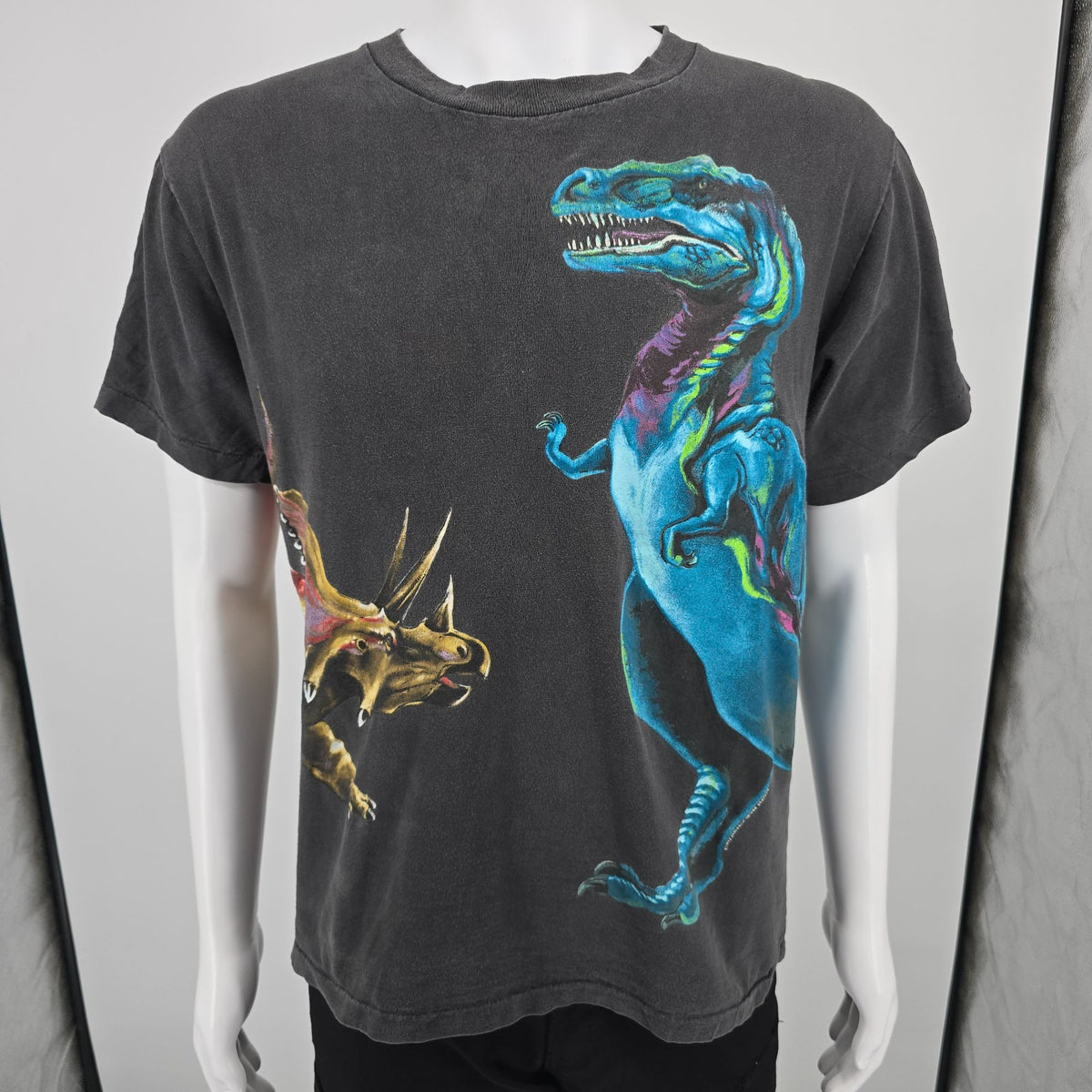 Vintage 1990s Harlequin Nature Graphics Dinosaur Wraparound Graphic T-Shirt (L)