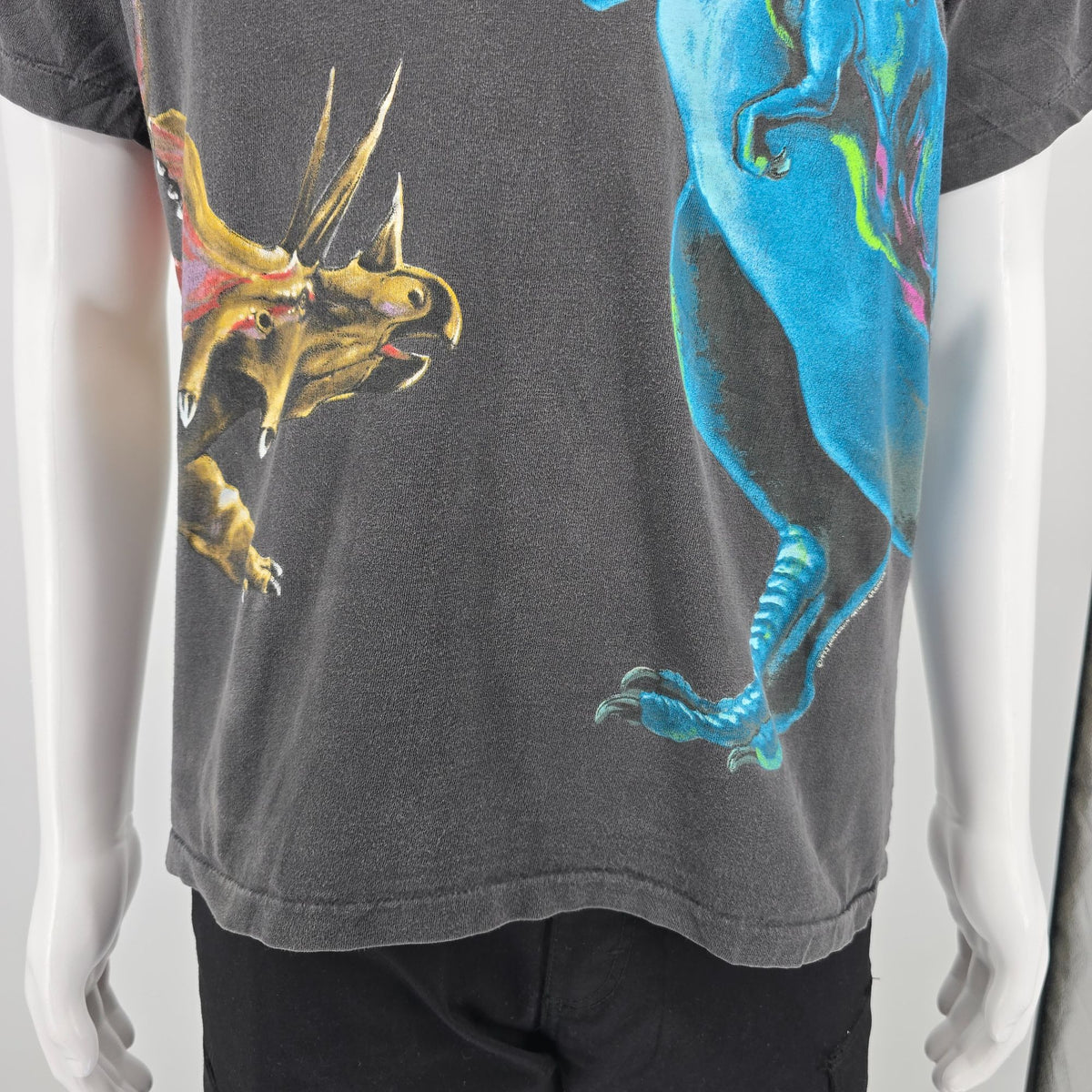 Vintage 1990s Harlequin Nature Graphics Dinosaur Wraparound Graphic T-Shirt (L)