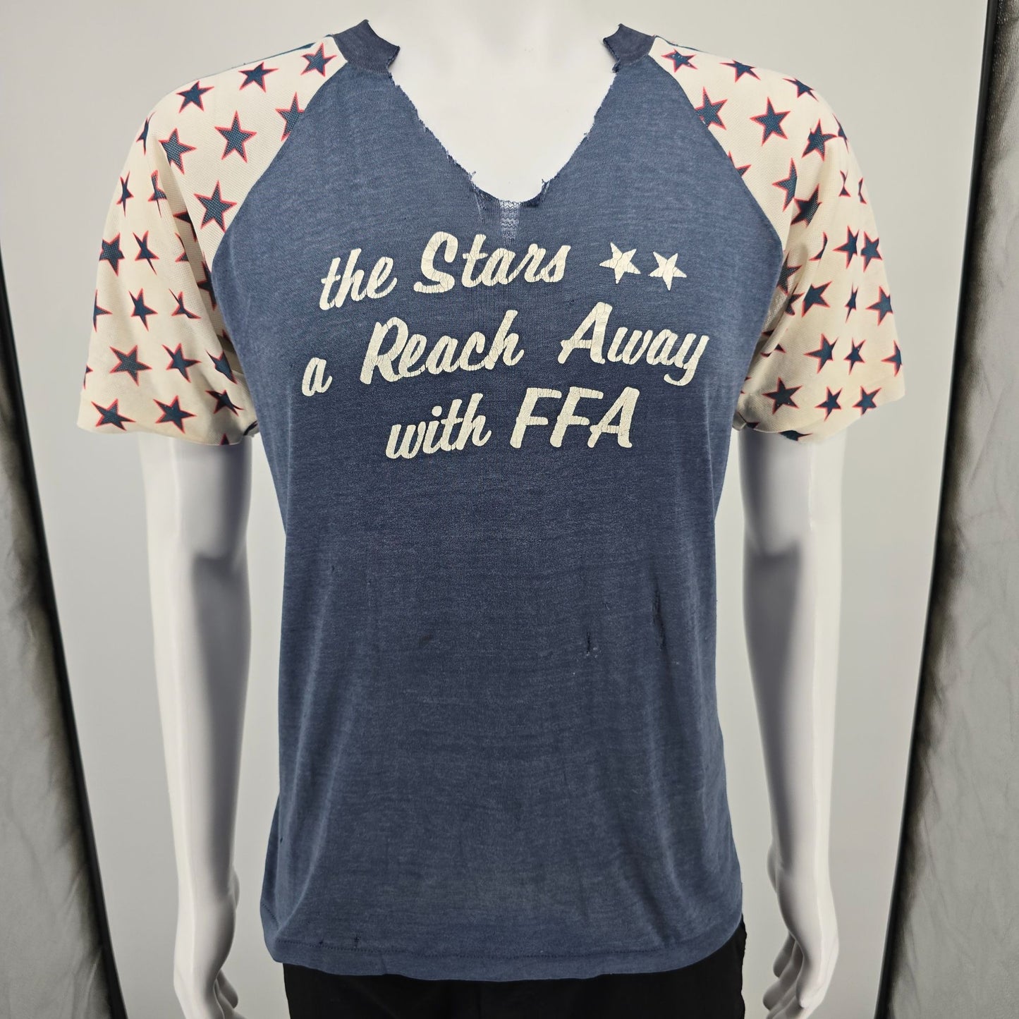 Thrashed Vintage 1970s Future Farmers of America FFA Raglan Sleeve T-Shirt (L)