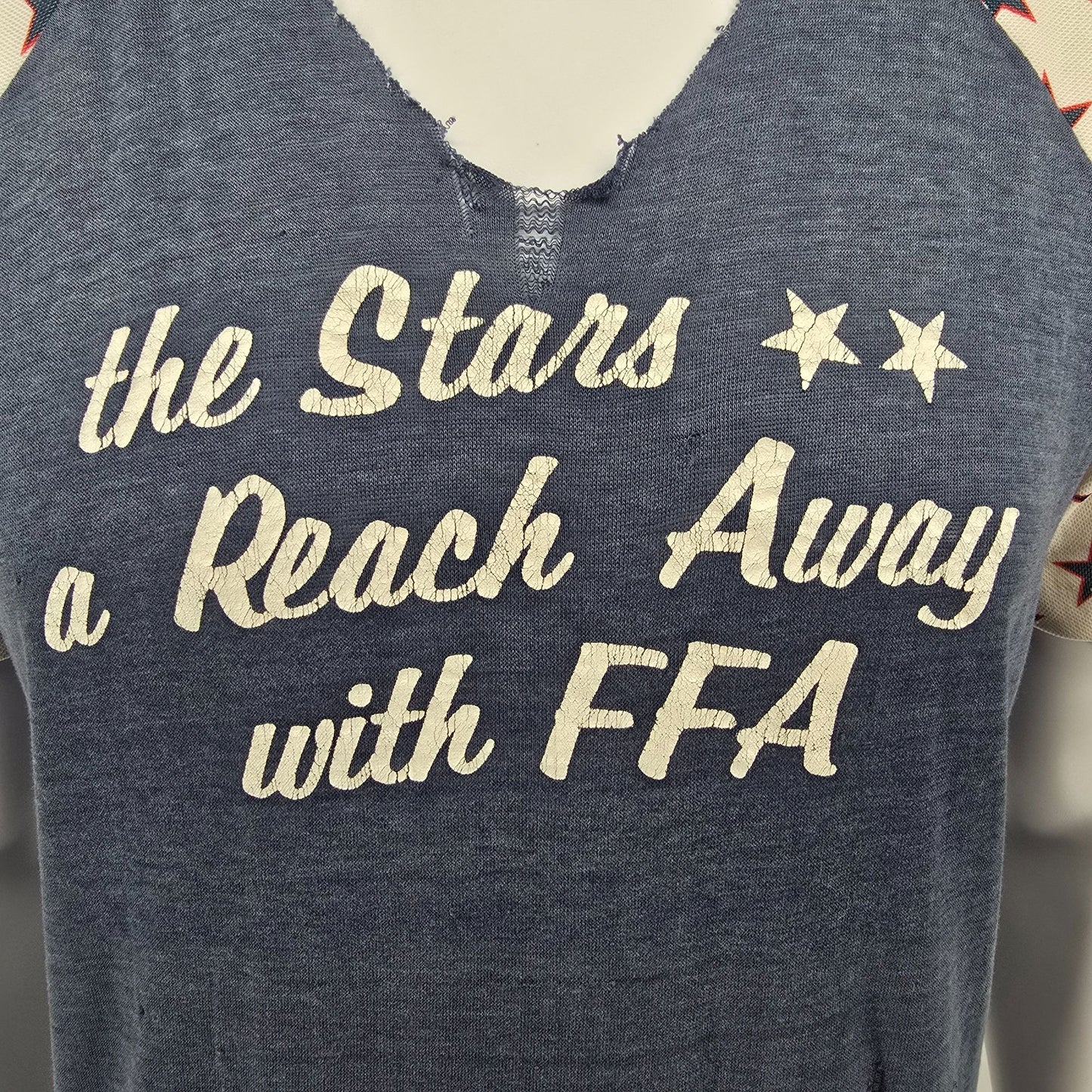 Thrashed Vintage 1970s Future Farmers of America FFA Raglan Sleeve T-Shirt (L)