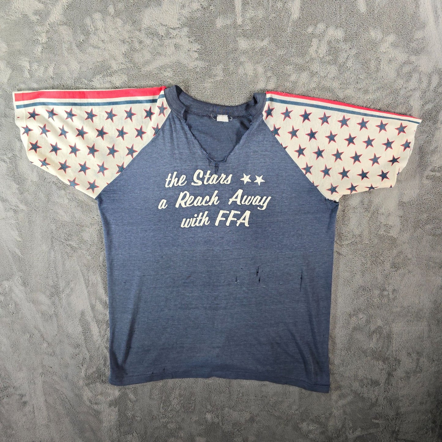 Thrashed Vintage 1970s Future Farmers of America FFA Raglan Sleeve T-Shirt (L)