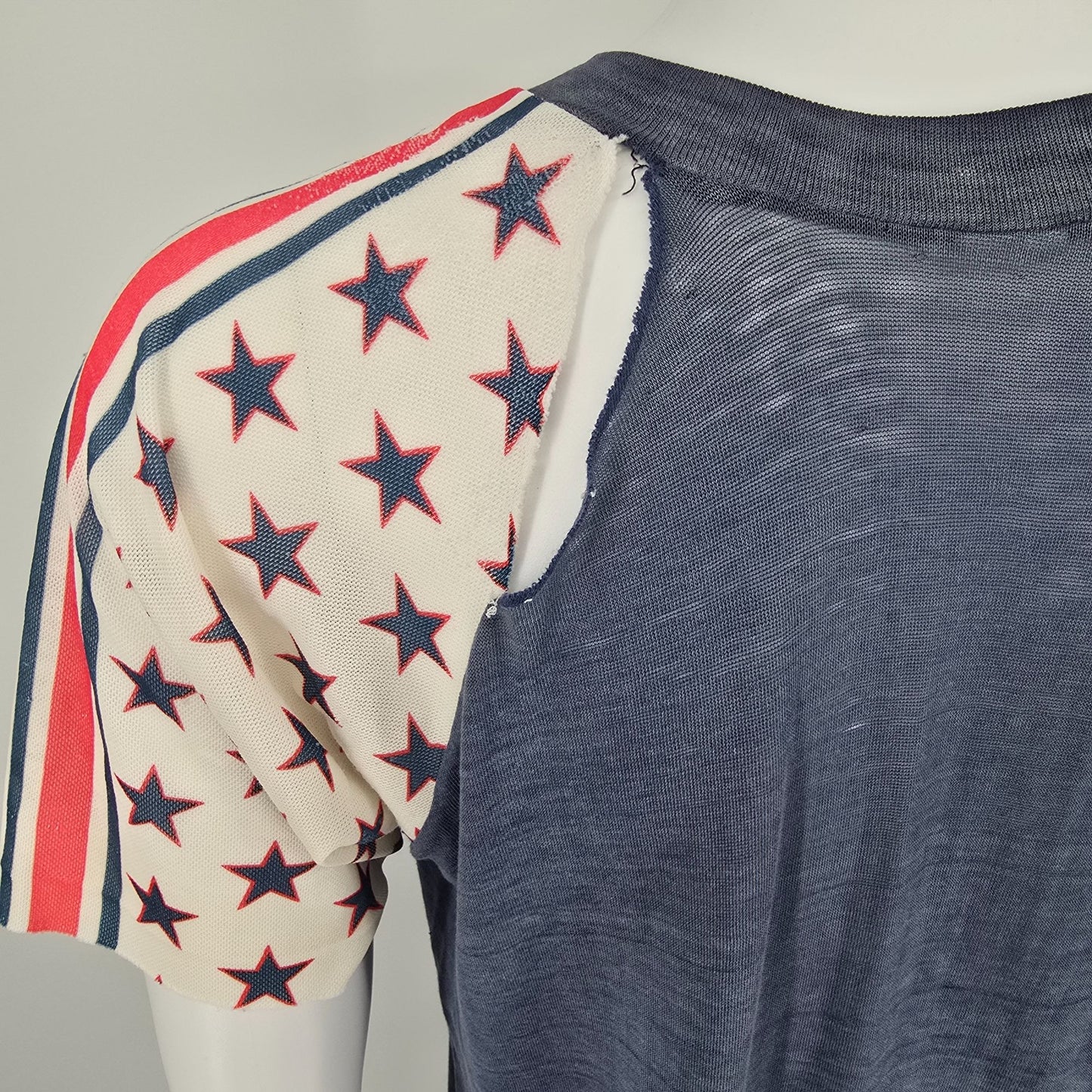 Thrashed Vintage 1970s Future Farmers of America FFA Raglan Sleeve T-Shirt (L)