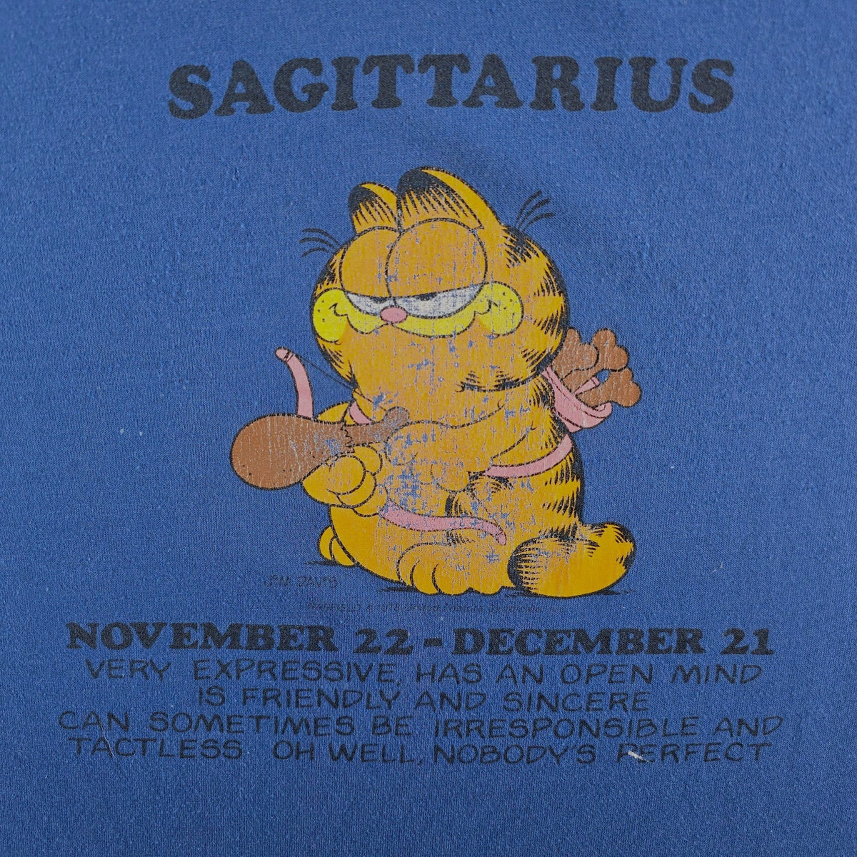 Vintage 1980s Flirts by Donnkenny Garfield Sagitarius Zodiac Sleep Shirt (OS)