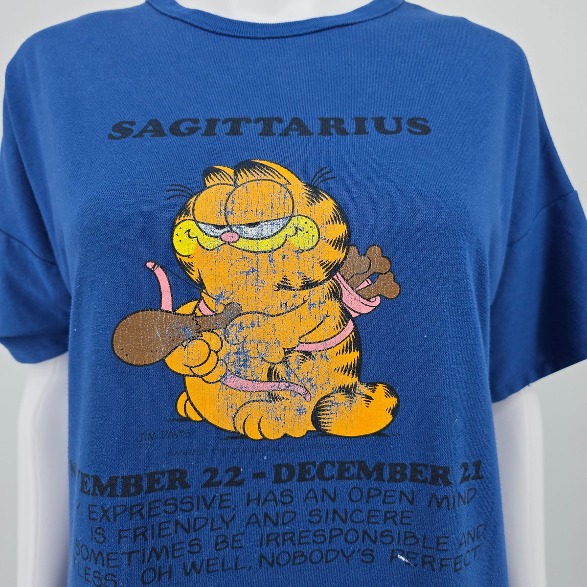 Vintage 1980s Flirts by Donnkenny Garfield Sagitarius Zodiac Sleep Shirt (OS)