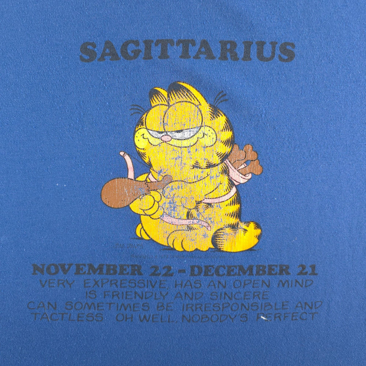 Vintage 1980s Flirts by Donnkenny Garfield Sagitarius Zodiac Sleep Shirt (OS)