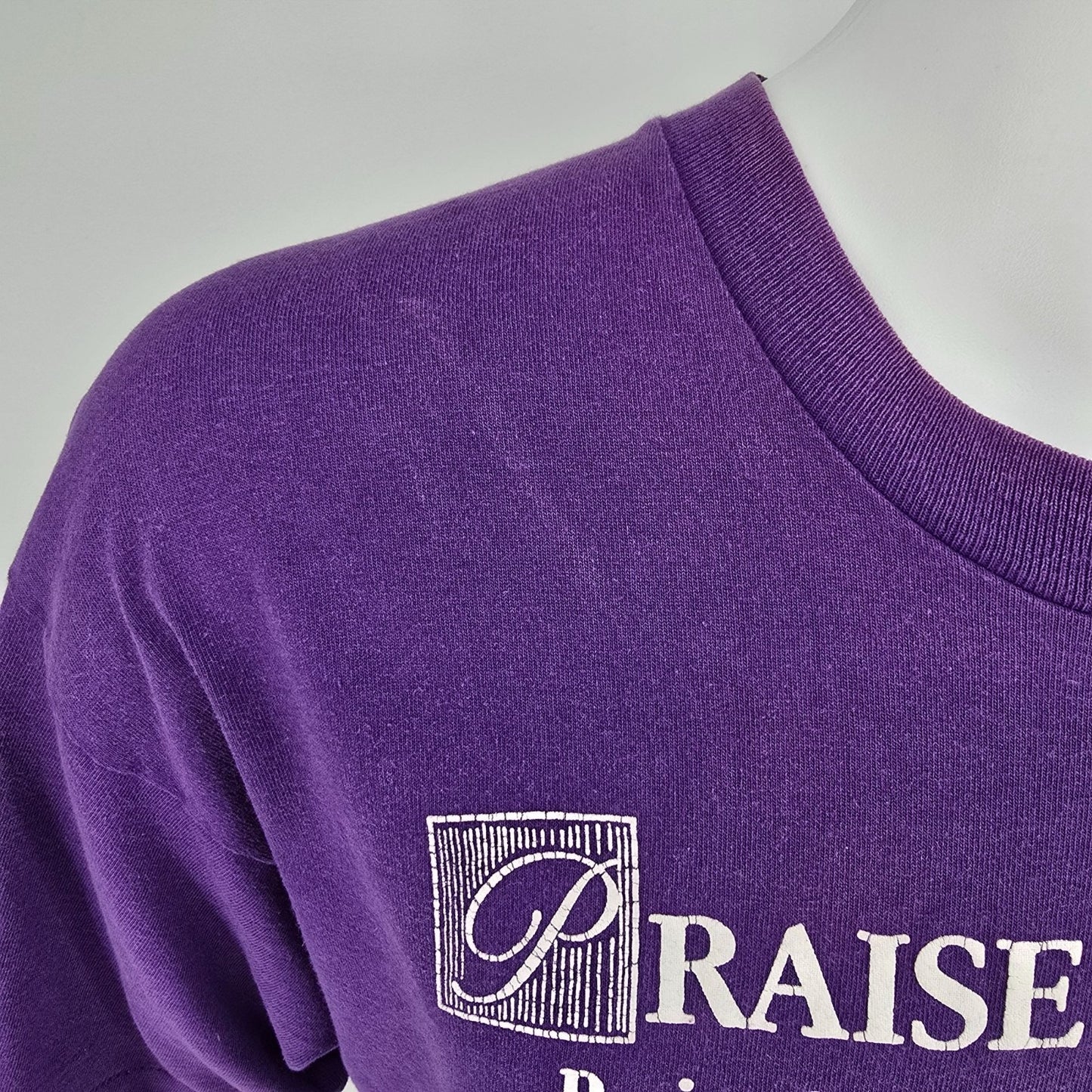 Vintage 1990s Alpha Omega Designs Praise the Lord Psalm 150 Purple T-Shirt (XL)