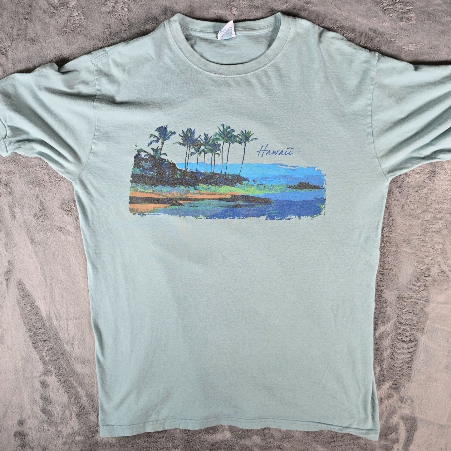2020s Crazy Shirts Hawaii Seafoam Green Palm Coast Surf Graphic T-Shirt (L)