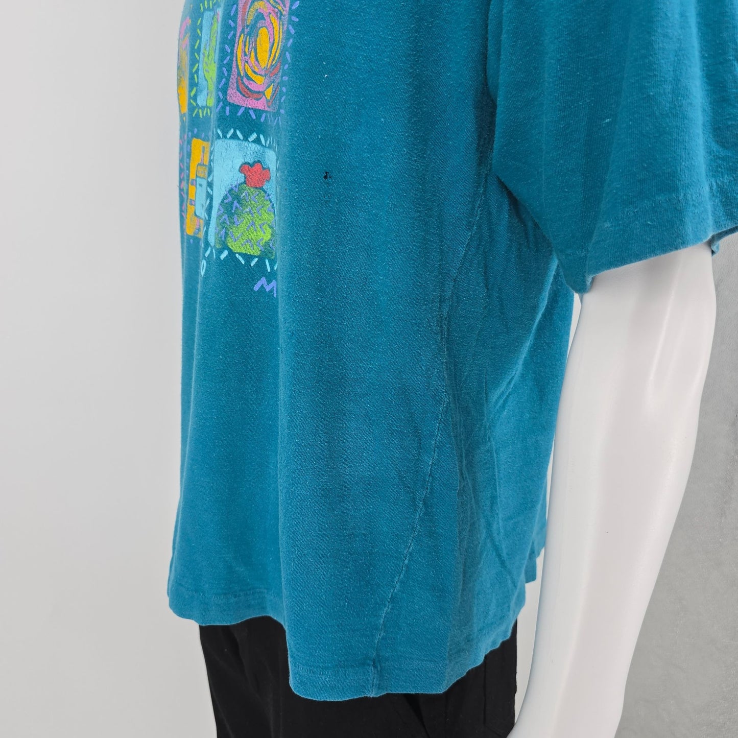 Distressed Vintage 1990s Cherokee "Desert Bloom" Southwest Graphic T-Shirt (XXL)