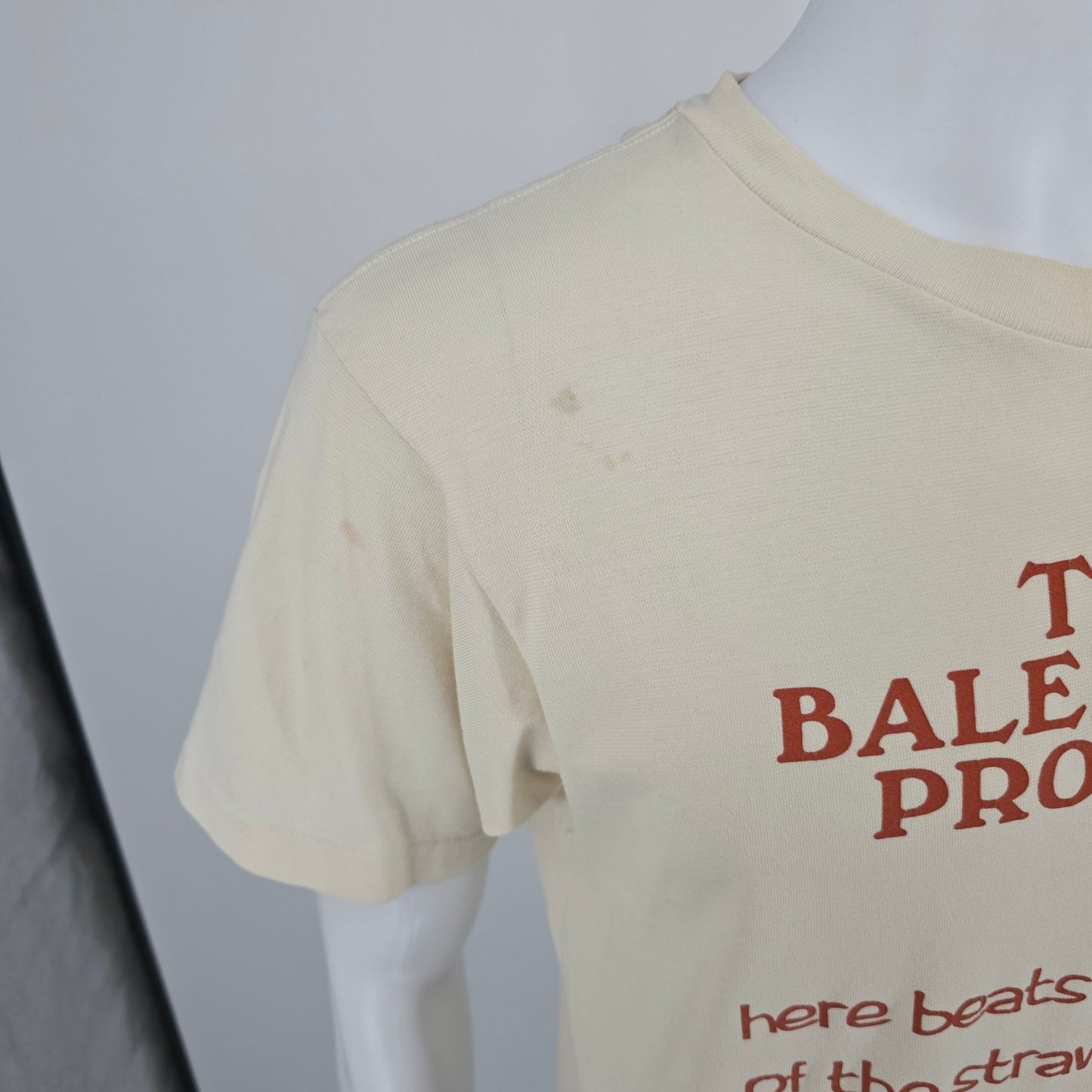 Vintage 1990s Ecosport The Baleheart Project Straw-Bale Construction T-Shirt (M)
