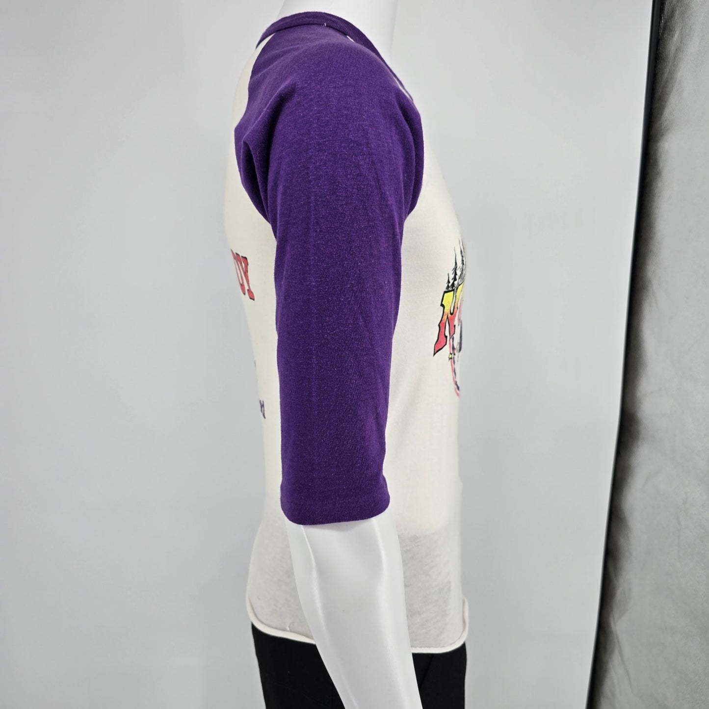 Vintage 1983 Great Northern Picnic St. Paul Rock Festival Raglan T-Shirt (S)