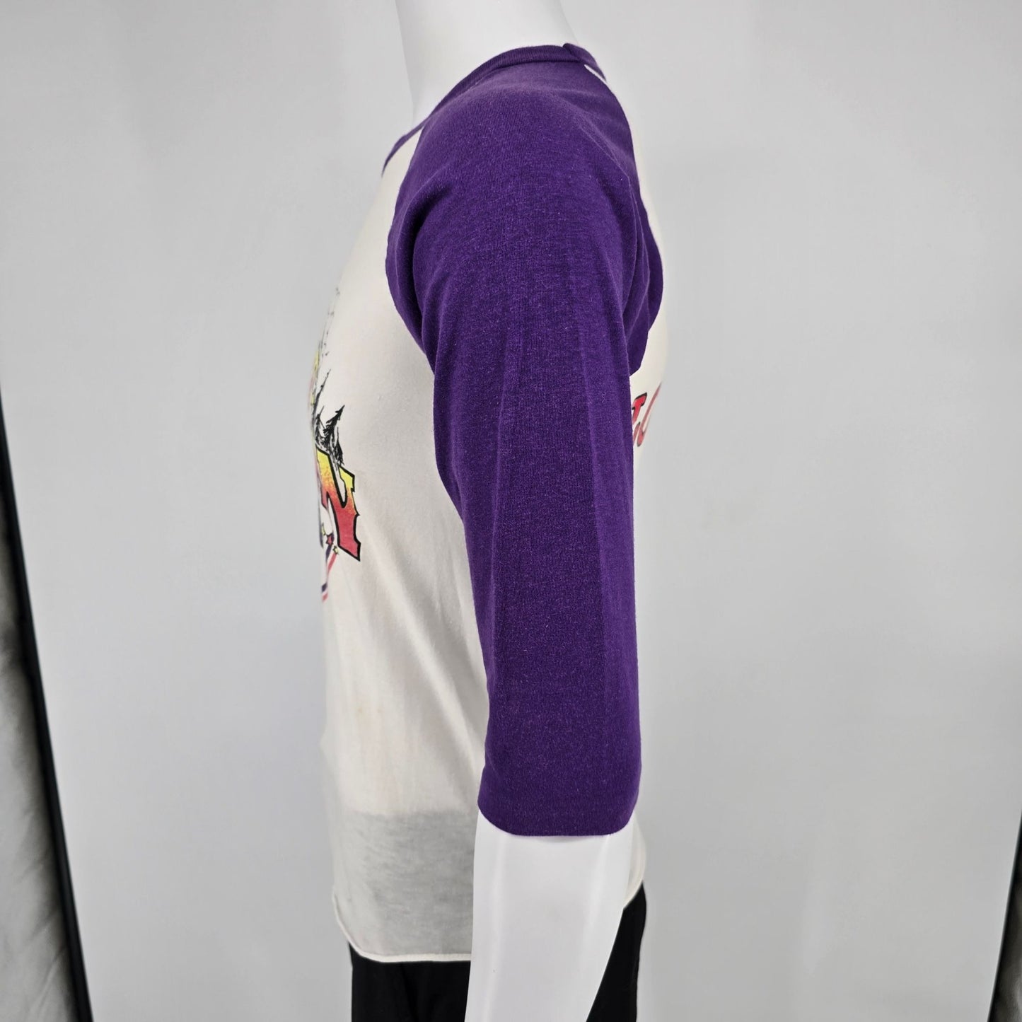 Vintage 1983 Great Northern Picnic St. Paul Rock Festival Raglan T-Shirt (S)
