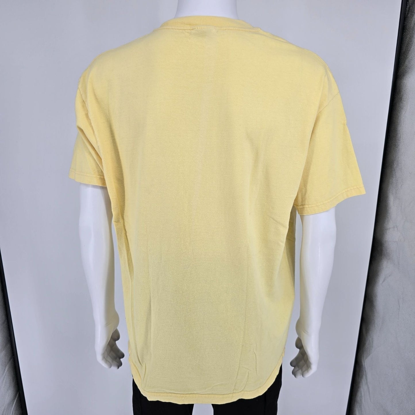 Distressed Vintage Y2K Hanes Beefy-T Arizona Saint Bernard Rescue 1 T-Shirt (XL)
