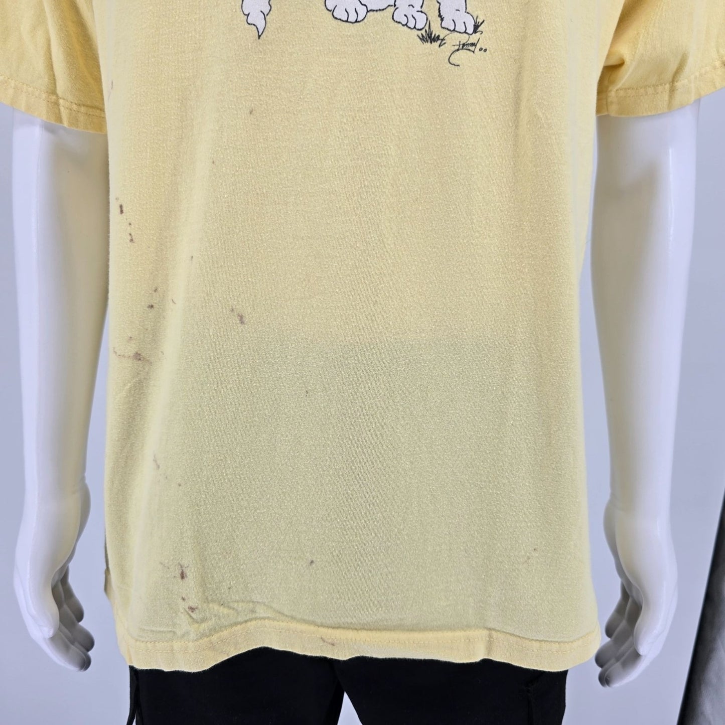 Distressed Vintage Y2K Hanes Beefy-T Arizona Saint Bernard Rescue 1 T-Shirt (XL)