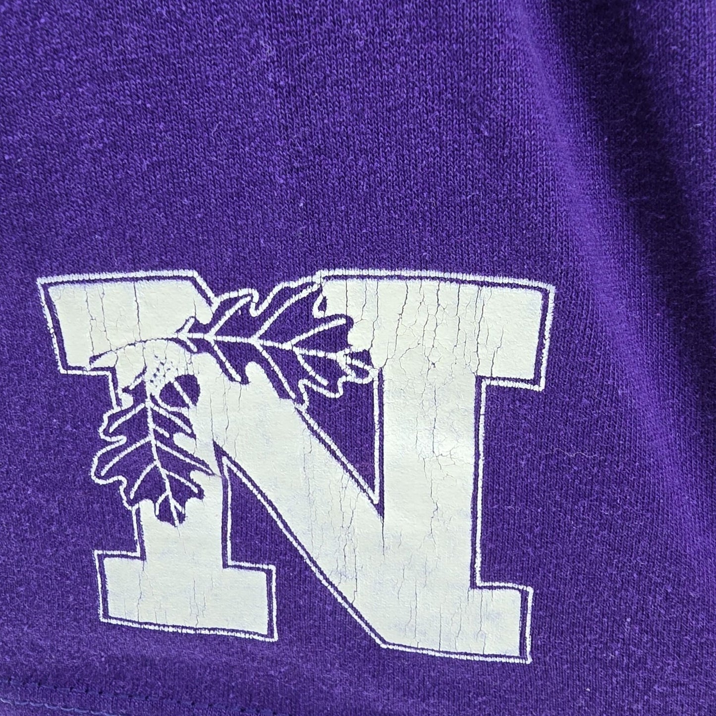 Vintage 1990s Jerzees Northwestern University Alumni Association T-Shirt (XL)
