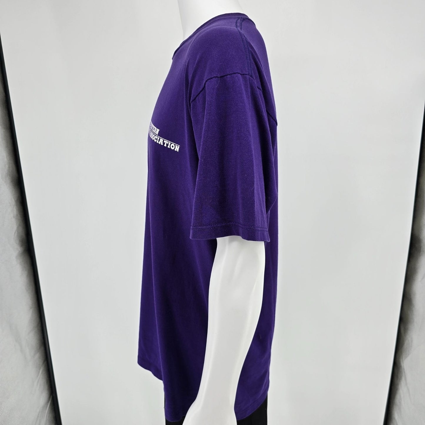 Vintage 1990s Jerzees Northwestern University Alumni Association T-Shirt (XL)