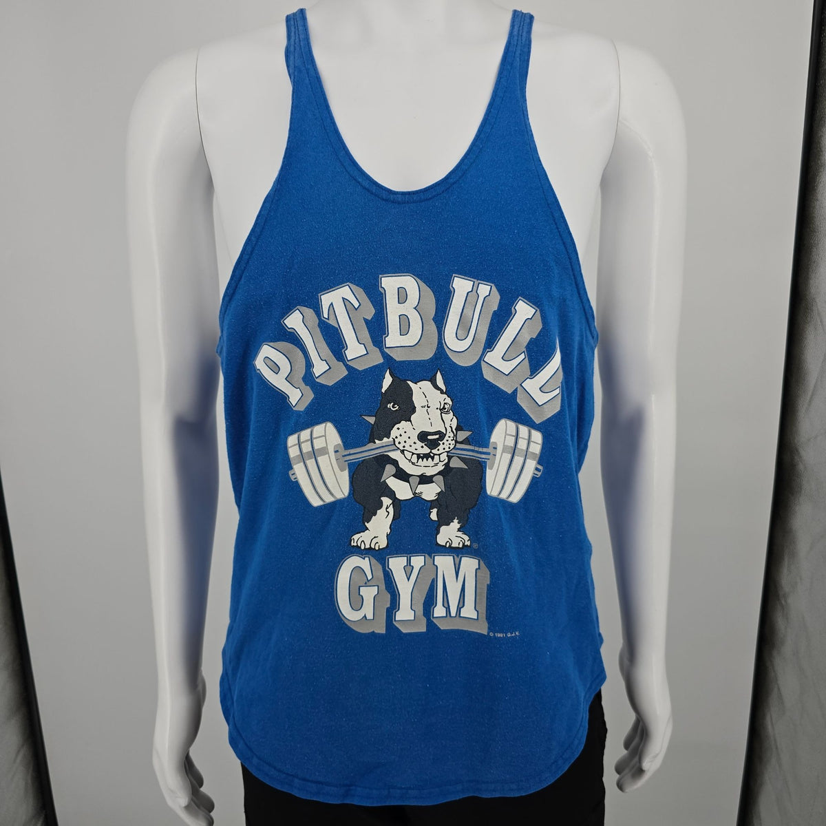 Vintage 1990s Pitbull Gym Blue Racerback Stringer Bodybuilding Tank Top (M)