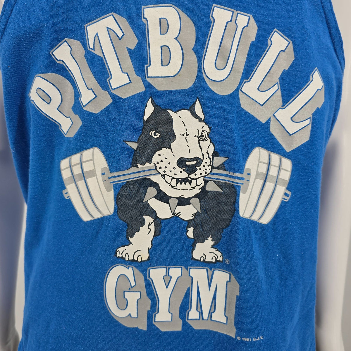 Vintage 1990s Pitbull Gym Blue Racerback Stringer Bodybuilding Tank Top (M)