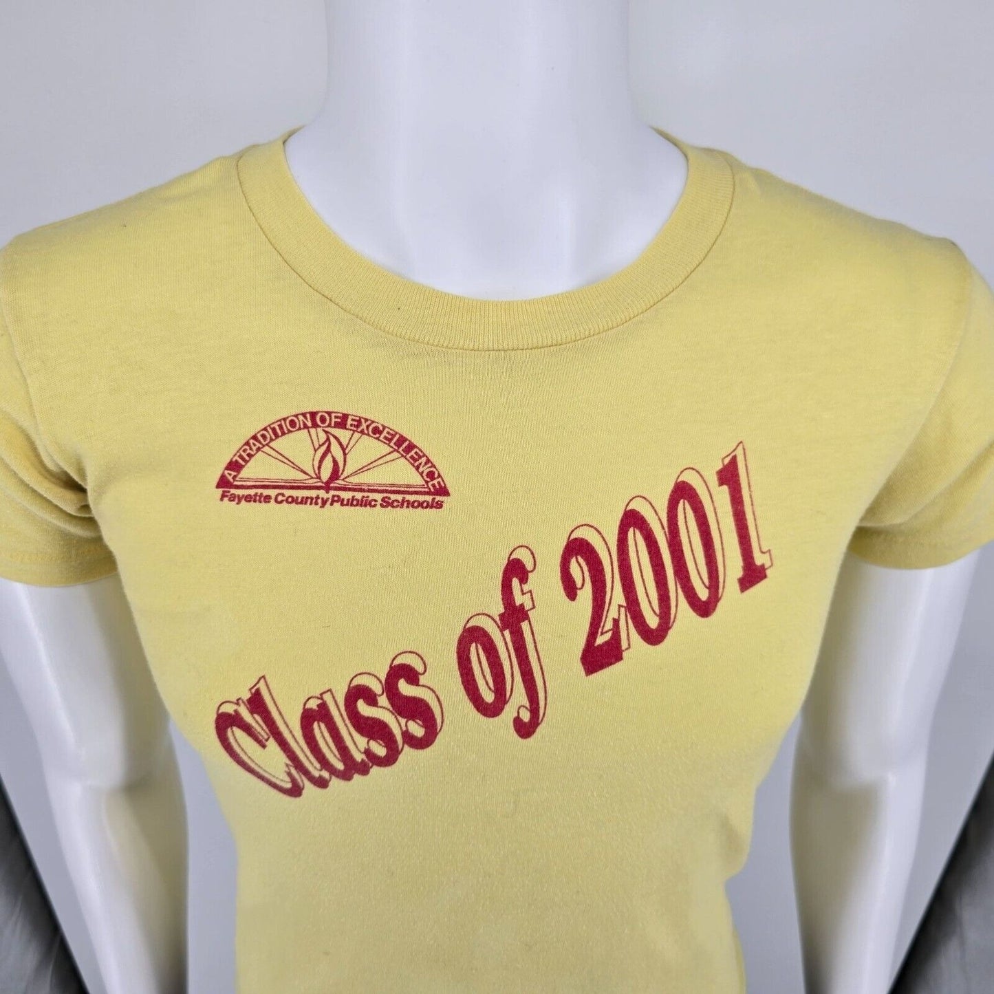 Vintage Fayette County Public Schools Class of 2001 Yellow T-Shirt (Youth Large)