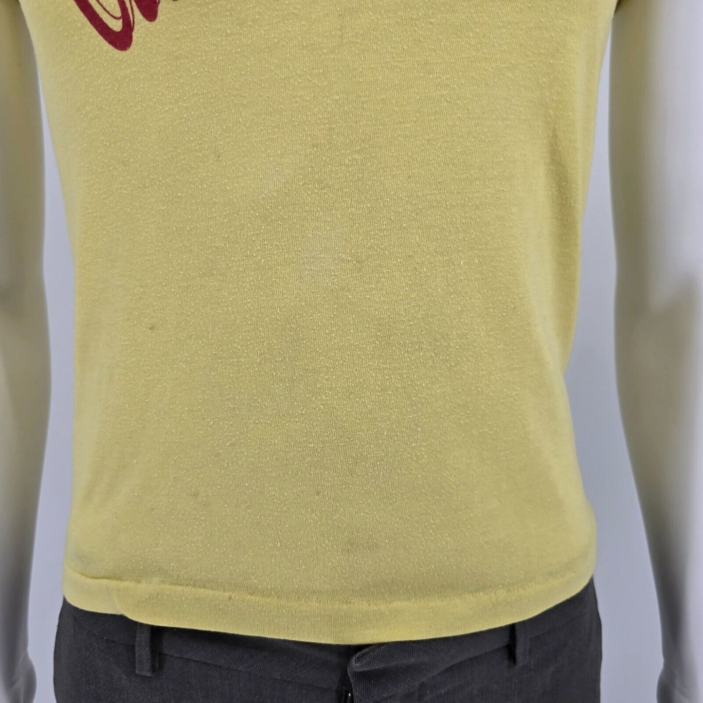 Vintage Fayette County Public Schools Class of 2001 Yellow T-Shirt (Youth Large)