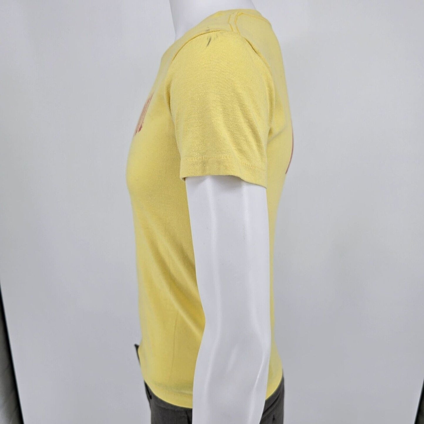 Vintage Fayette County Public Schools Class of 2001 Yellow T-Shirt (Youth Large)