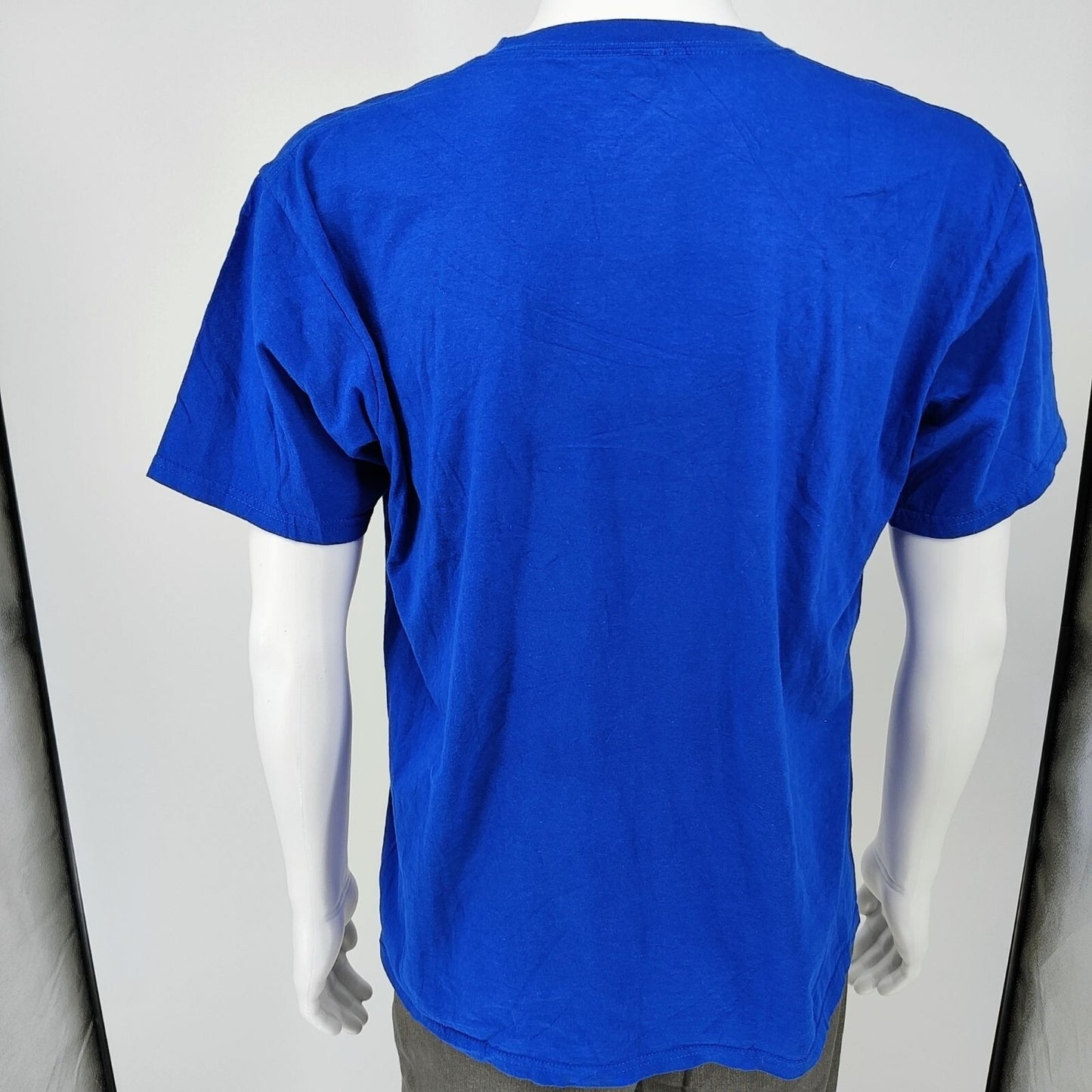 Fanatics 2016 Chicago Cubs World Series Champions  MLB Blue Graphic T-Shirt (L)