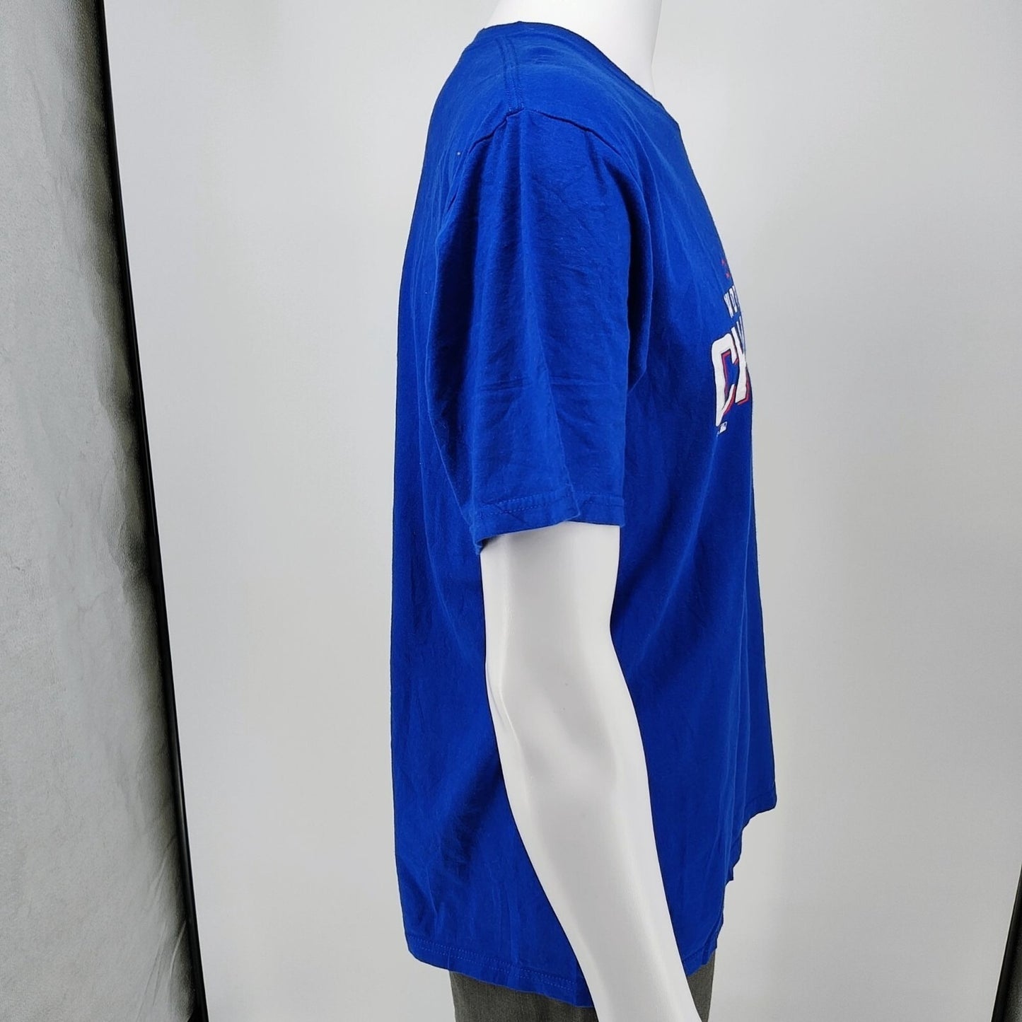 Fanatics 2016 Chicago Cubs World Series Champions  MLB Blue Graphic T-Shirt (L)