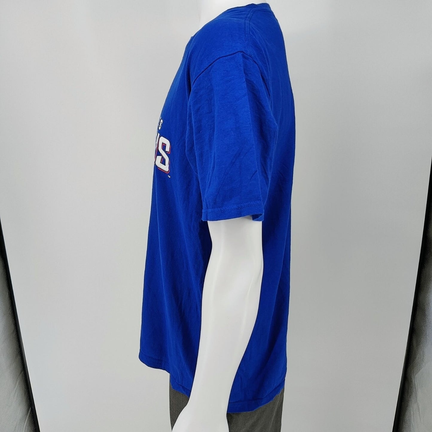 Fanatics 2016 Chicago Cubs World Series Champions  MLB Blue Graphic T-Shirt (L)