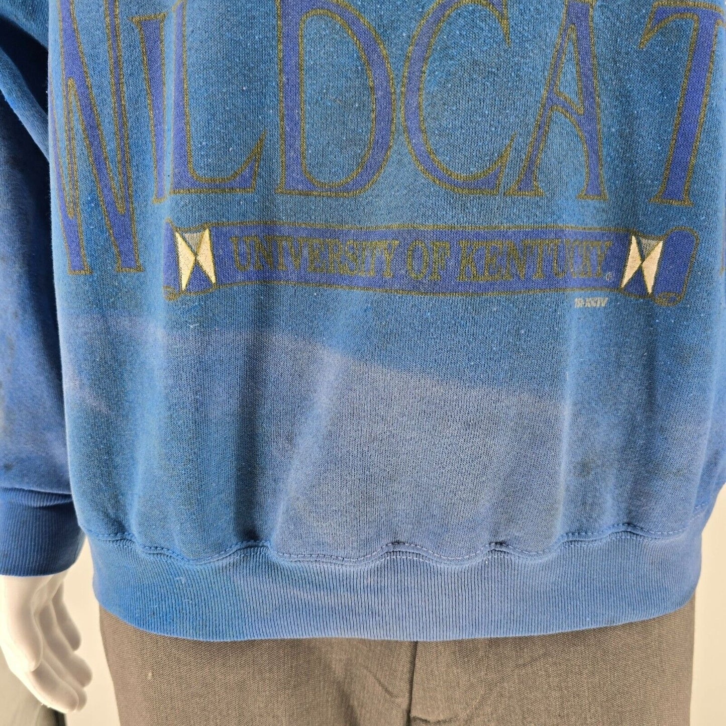Vintage Thrashed 1990s TSI University of Kentucky Wildcats Logo Sweatshirt (L)