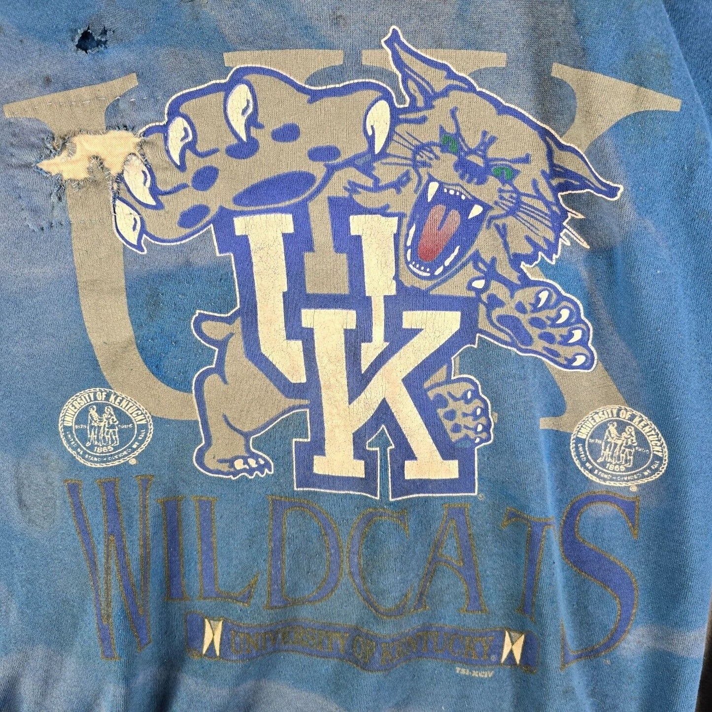 Vintage Thrashed 1990s TSI University of Kentucky Wildcats Logo Sweatshirt (L)