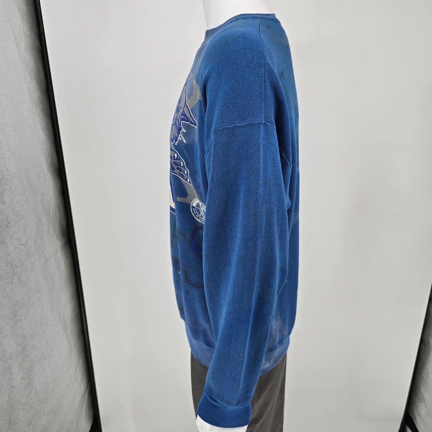 Vintage Thrashed 1990s TSI University of Kentucky Wildcats Logo Sweatshirt (L)