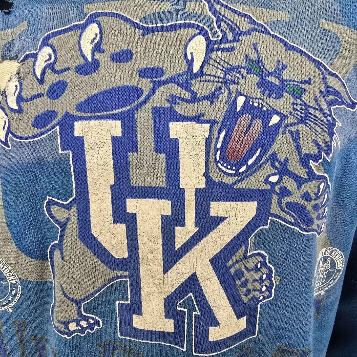 Vintage Thrashed 1990s TSI University of Kentucky Wildcats Logo Sweatshirt (L)