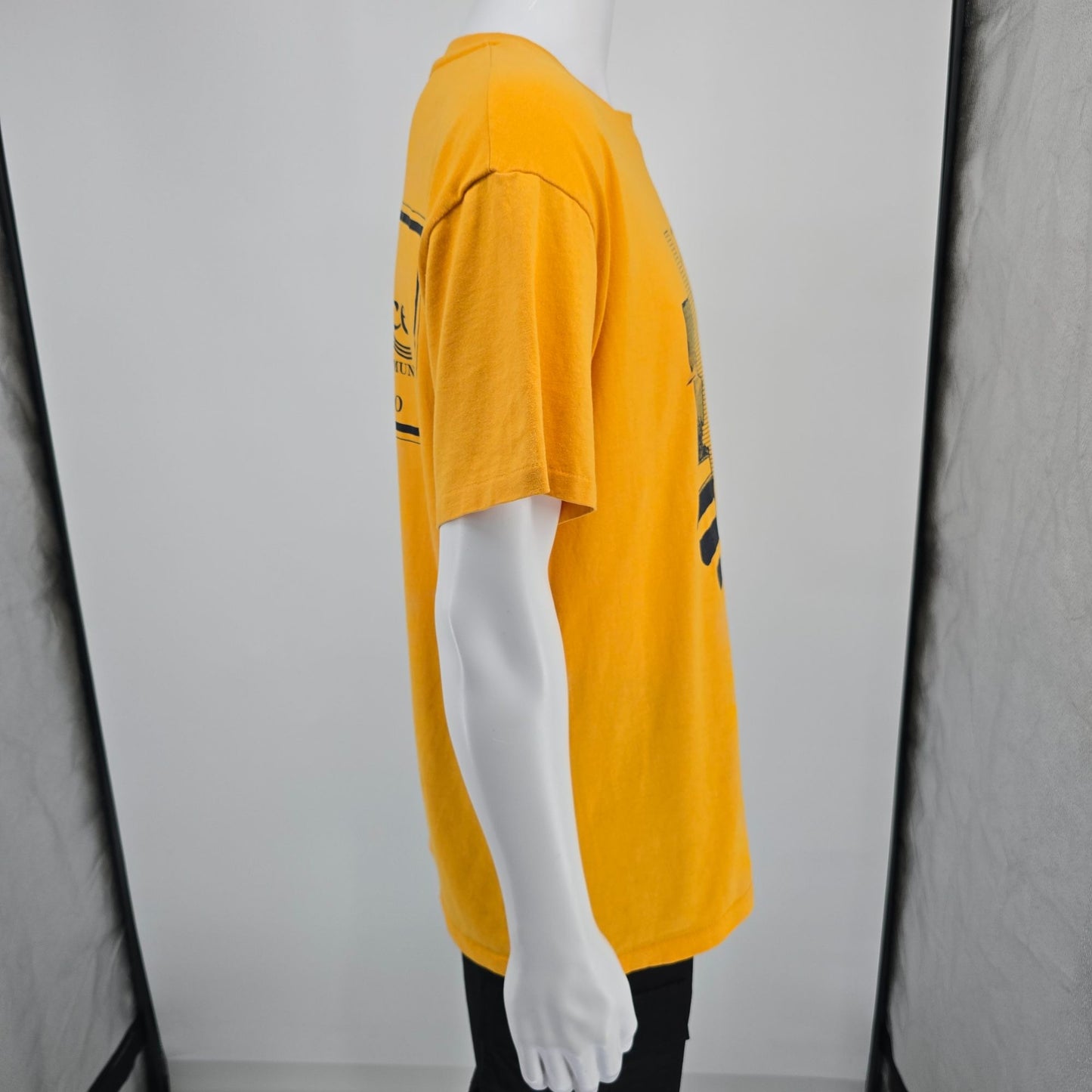 Vintage 1990s Idaho Senior Games/River Place Residential Community T-Shirt (L)